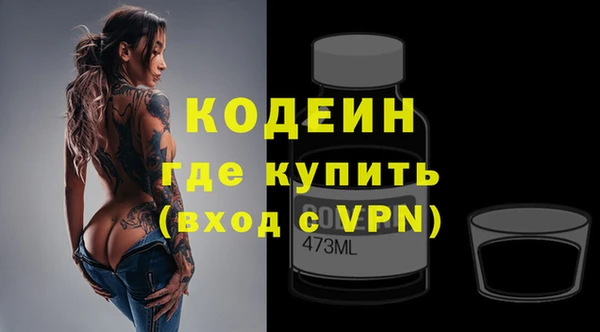 хмурый Алексин