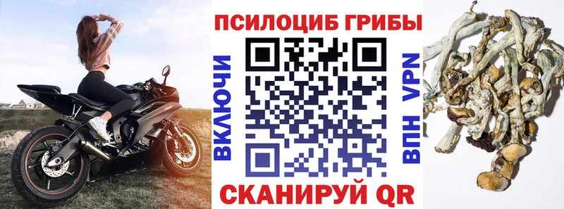 даркнет какой сайт  Остров  Галлюциногенные грибы Psilocybe 